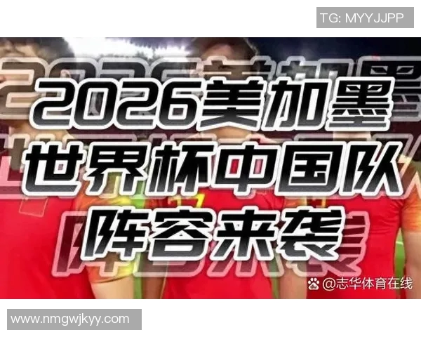 世界杯预选赛评分揭晓是高光表现还是陷入低迷境地