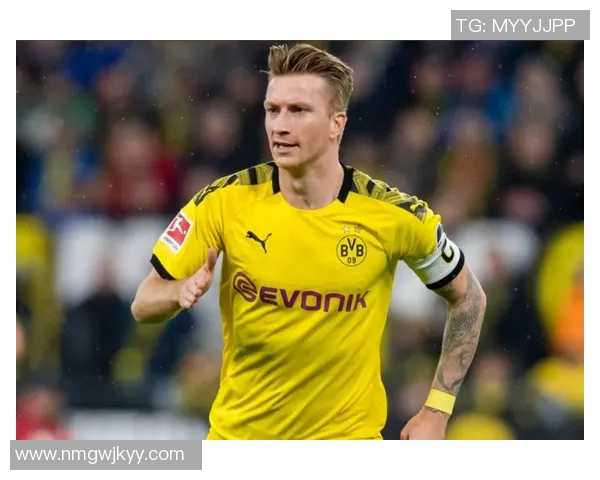 数据模型深度解析多特蒙德取胜概率预测结果 数据模型深度解析多特蒙德取胜概率预测结果