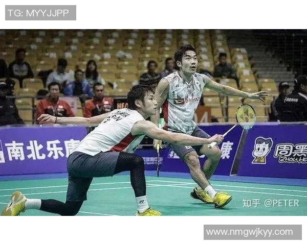 羽毛球双打比赛中球员默契度的量化指标及其实证分析方法研究 羽毛球双打比赛中球员默契度的量化指标及其实证分析方法研究