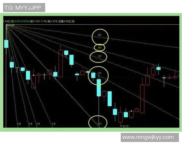 深度解析当前战术趋势及未来发展走向的全面预测